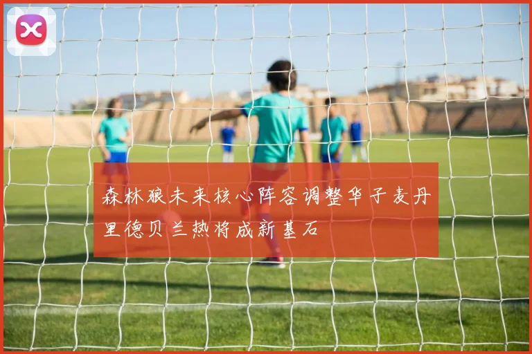 森林狼未来核心阵容调整华子麦丹里德贝兰热将成新基石