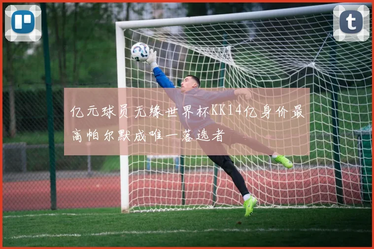 亿元球员无缘世界杯KK14亿身价最高帕尔默成唯一落选者