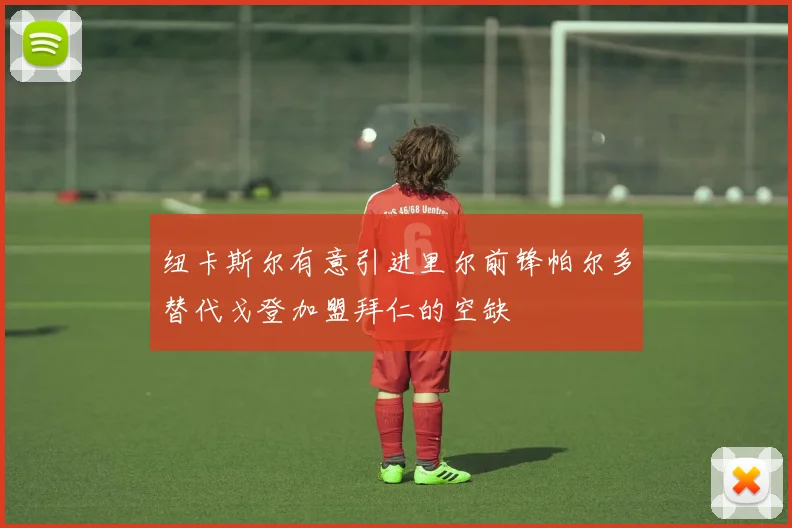 纽卡斯尔有意引进里尔前锋帕尔多替代戈登加盟拜仁的空缺